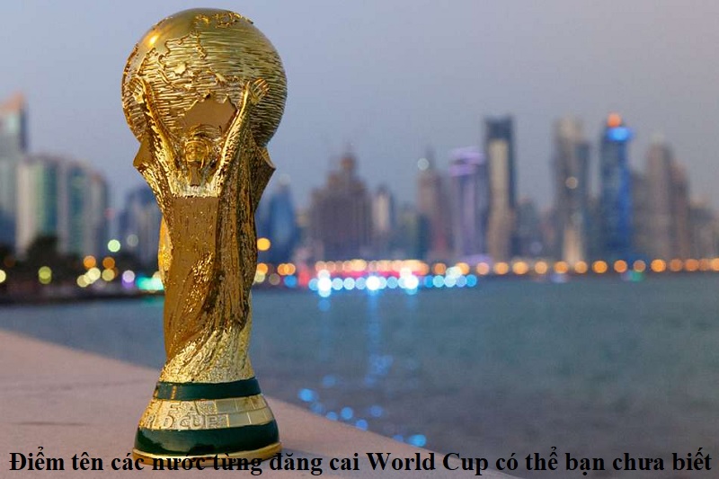 diem-ten-cac-nuoc-tung-dang-cai-world-cup-co-the-ban-chua-biet
